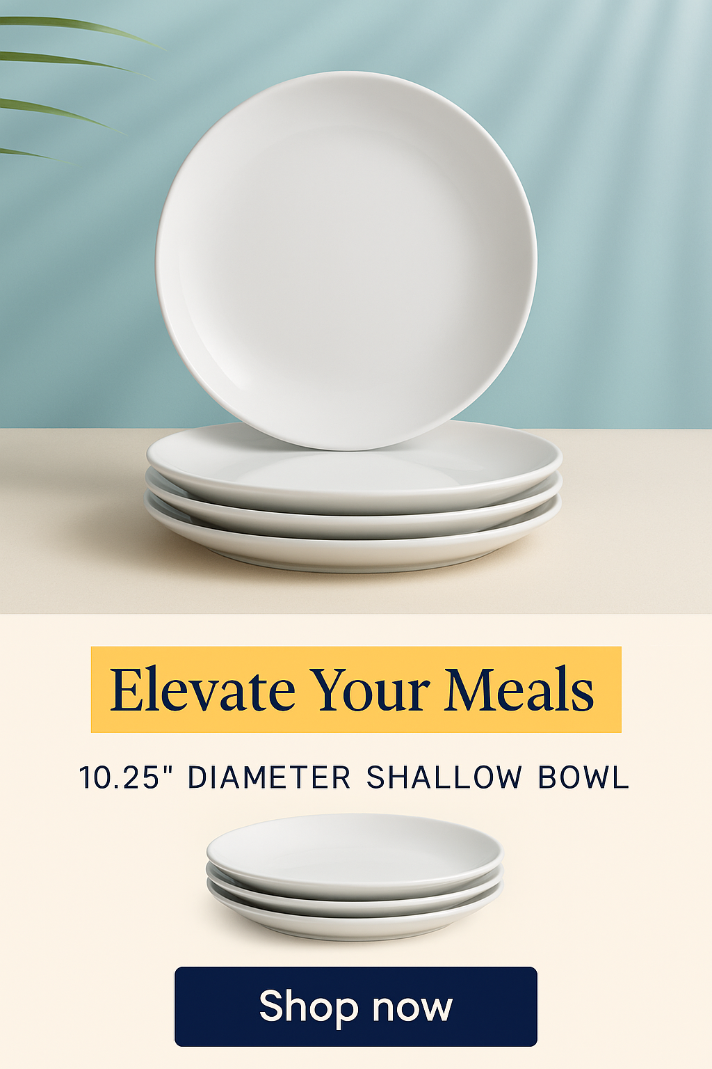 PORCELLAIN: Multi Purpose Dinner Plate/Shallow Bowl - Final Clearance Price - SET of 4 (10.25" Diam.)