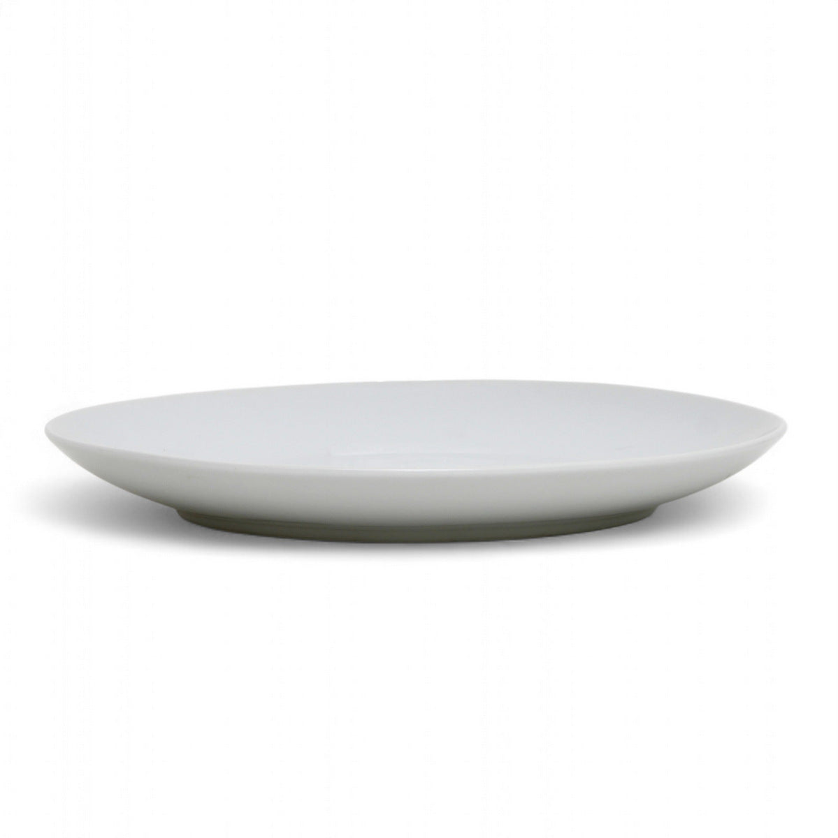 PORCELLAIN: Multi Purpose Dinner Plate/Shallow Bowl - Final Clearance Price - SET of 4 (10.25" Diam.)