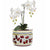 ORVIETO RED ROOSTER: Cylindrical Cover Pot - Cachepot Planter (Small) - artisticaitalian.com