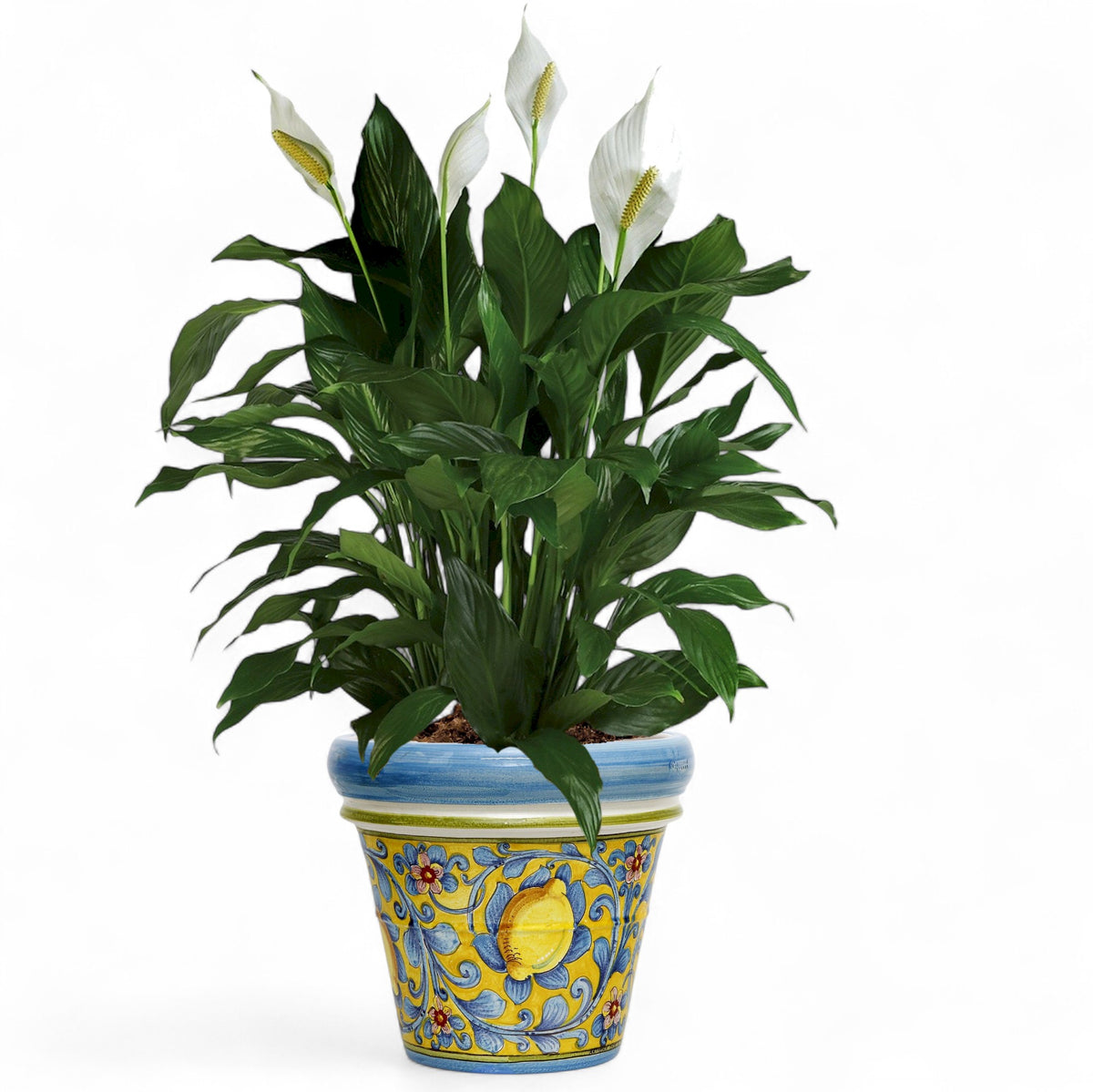 TOSCANA PLANTER: Medium Round Tuscan Limoniera planter/vase 'Conca' - Strong Terracotta indoor/outdoor freeze resistant - CAPRI Design