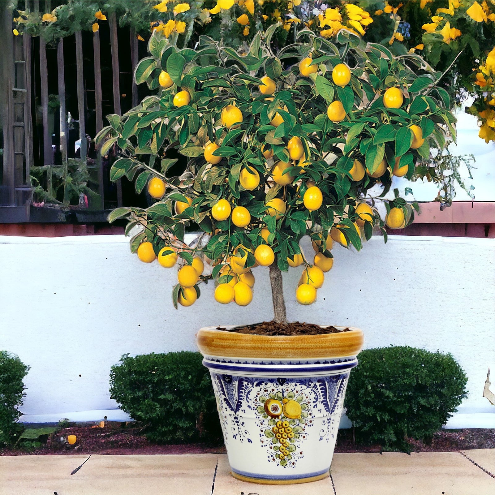 TOSCANA PLANTER: Medium Round Tuscan Limoniera planter/vase 'Conca' - Strong Terracotta indoor/outdoor freeze resistant - FRUTTINA Design