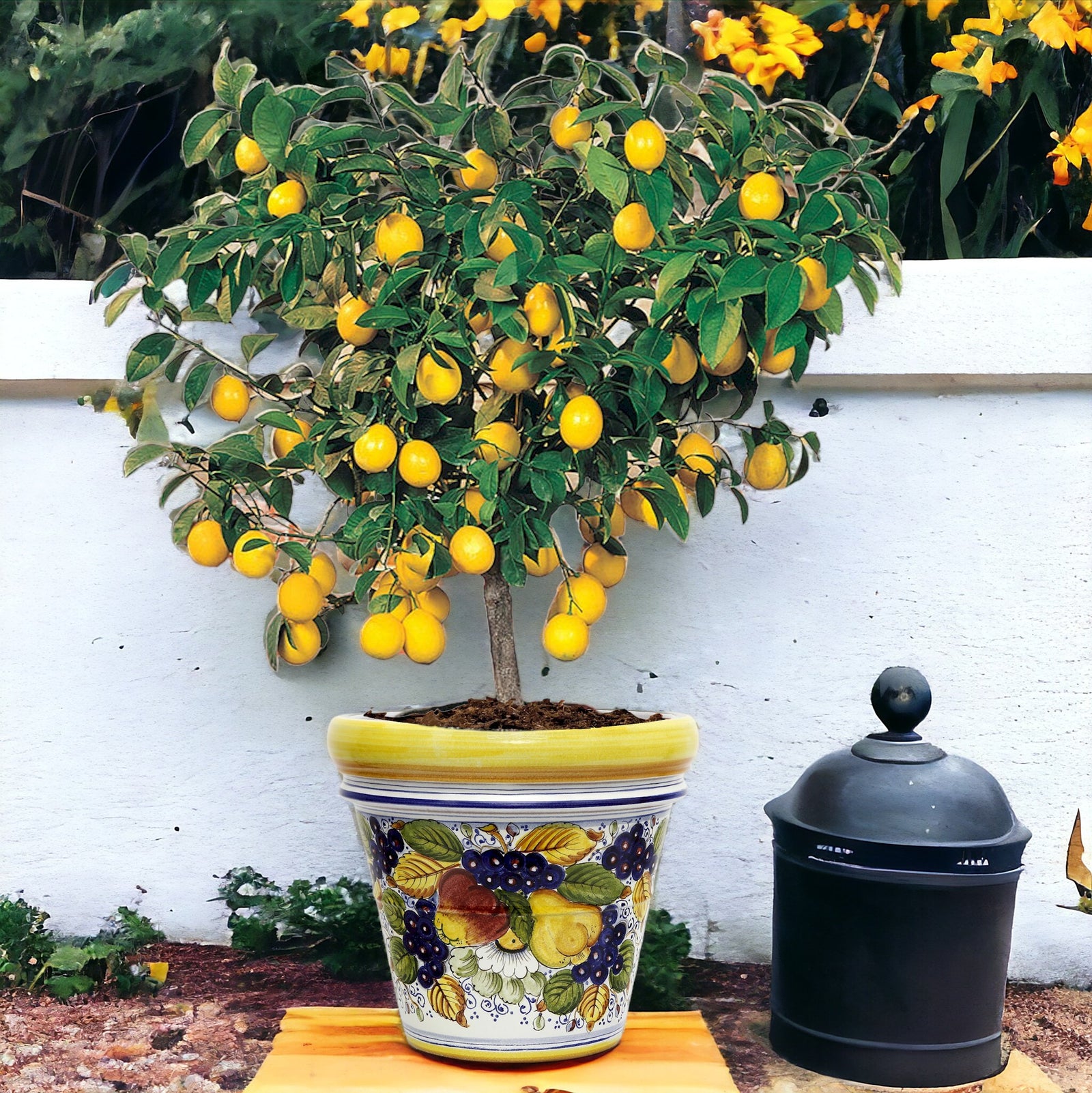 TOSCANA PLANTER: Medium Round Tuscan Limoniera planter/vase 'Conca' - Strong Terracotta indoor/outdoor freeze resistant - FRUTTA Design