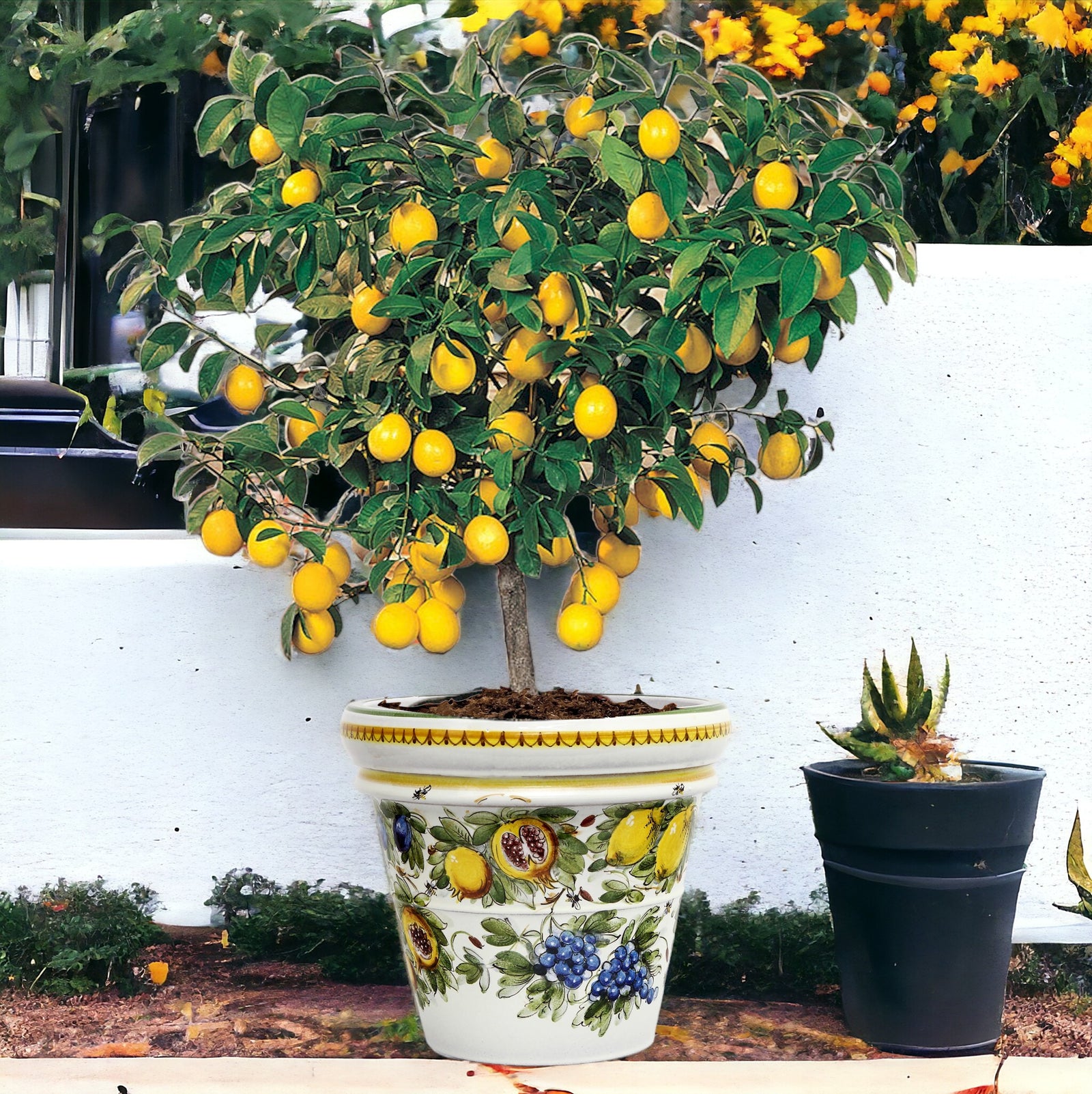 TOSCANA PLANTER: Medium Round Tuscan Limoniera planter/vase 'Conca' - Strong Terracotta indoor/outdoor freeze resistant - FRUTTA FONDO MIELE LIMONI Design