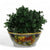 TOSCANA PLANTER: Medium Round Tuscan Lown Bowl Planter 'Ciotolone' - Strong Terracotta indoor/outdoor freeze resistant - FRUTTA Design