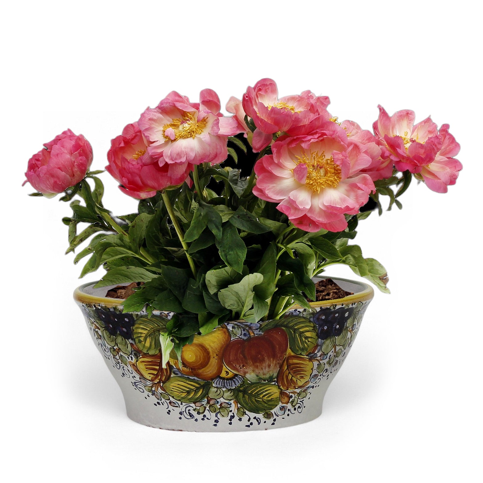 TOSCANA PLANTER: Medium Round Tuscan Lown Bowl Planter 'Ciotolone' - Strong Terracotta indoor/outdoor freeze resistant - FRUTTA Design