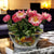 TOSCANA PLANTER: Medium Round Tuscan Lown Bowl Planter 'Ciotolone' - Strong Terracotta indoor/outdoor freeze resistant - FRUTTA Design