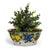 TOSCANA PLANTER: Medium Round Tuscan Lown Bowl Planter 'Ciotolone' - Strong Terracotta indoor/outdoor freeze resistant - LIMONI FONDO MIELE Design