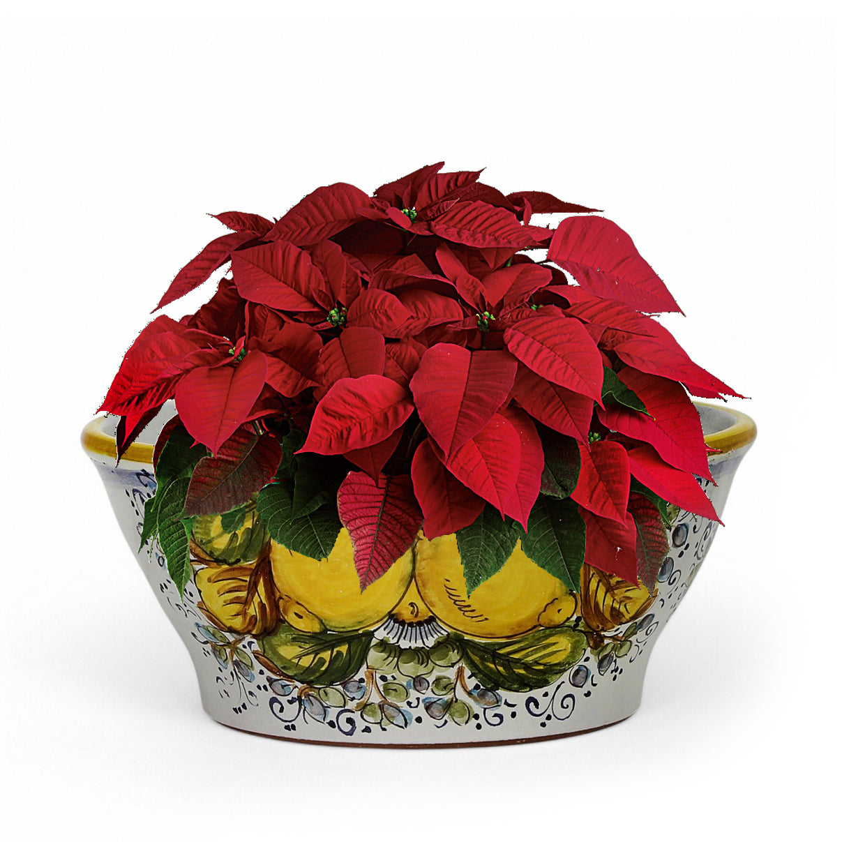 TOSCANA PLANTER: Medium Round Tuscan Lown Bowl Planter 'Ciotolone' - Strong Terracotta indoor/outdoor freeze resistant - POSITANO Design