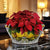 TOSCANA PLANTER: Medium Round Tuscan Lown Bowl Planter 'Ciotolone' - Strong Terracotta indoor/outdoor freeze resistant - POSITANO Design