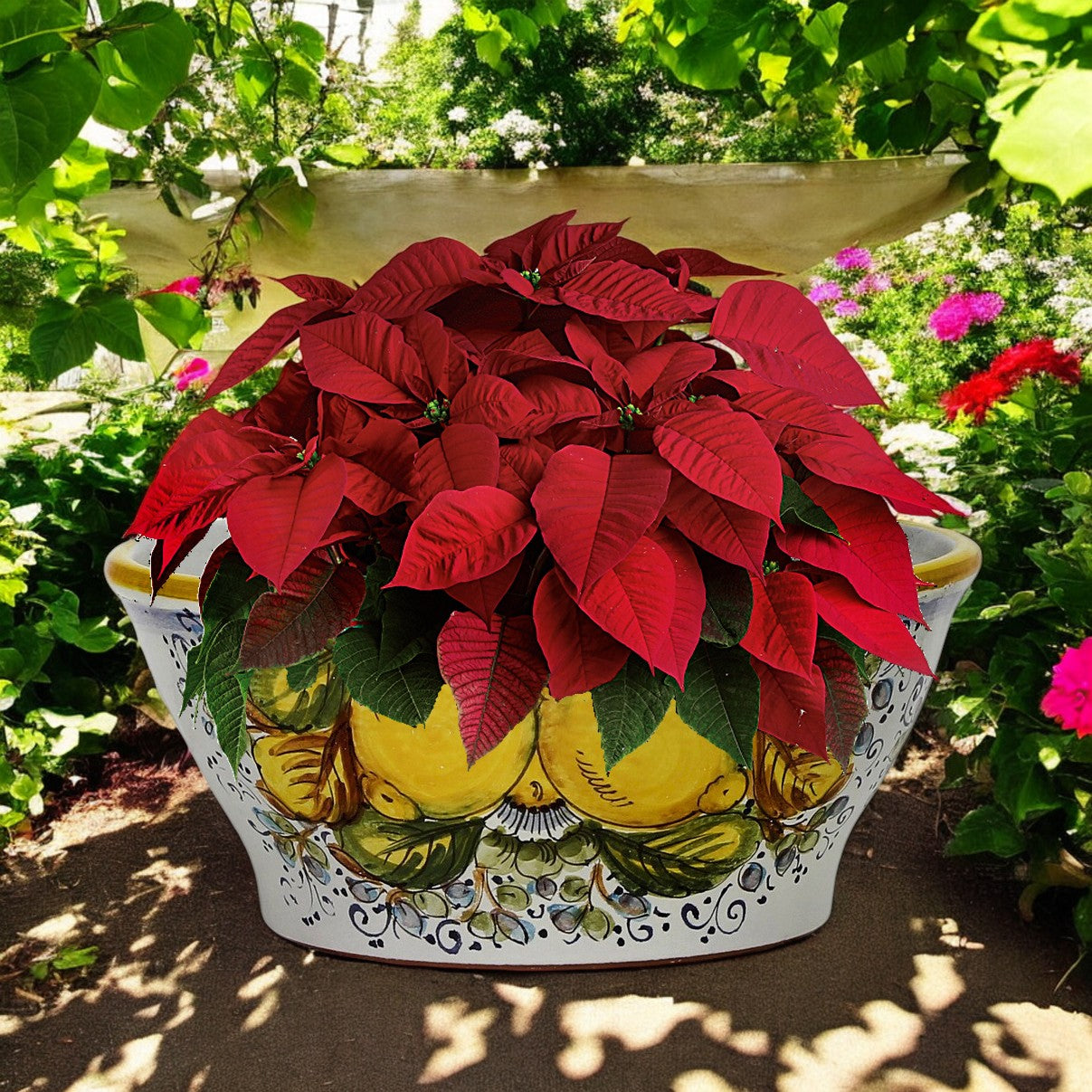 TOSCANA PLANTER: Medium Round Tuscan Lown Bowl Planter 'Ciotolone' - Strong Terracotta indoor/outdoor freeze resistant - POSITANO Design