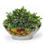 TOSCANA PLANTER: Large Round Tuscan Lown Bowl Planter 'Ciotolone' - Strong Terracotta indoor/outdoor freeze resistant - FRUTTA Design