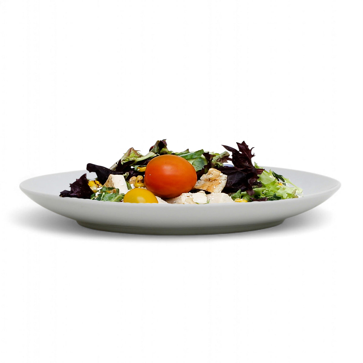 PORCELLAIN: Multi Purpose Dinner Plate/Shallow Bowl - Final Clearance Price - SET of 4 (10.25" Diam.)