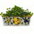 TOSCANA PLANTER: Rectangular Tuscan Jardiniere - Strong Terracotta indoor/outdoor - Tuscania Design